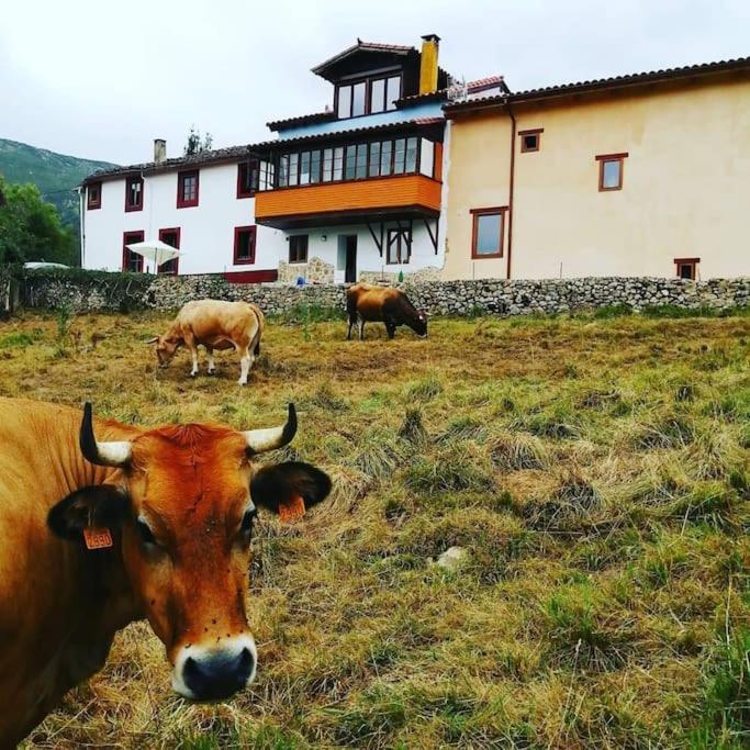 Casa Cosaratu, 2-9 Personas Villa Borines Esterno foto